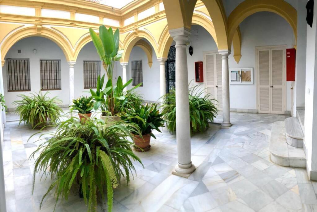 Gatu Villa Palma, Aire Acc Y Confort En El Centro Historico, " Preferente Mayores De 25 Anos Y Familias " El Puerto de Santa María Zewnętrze zdjęcie