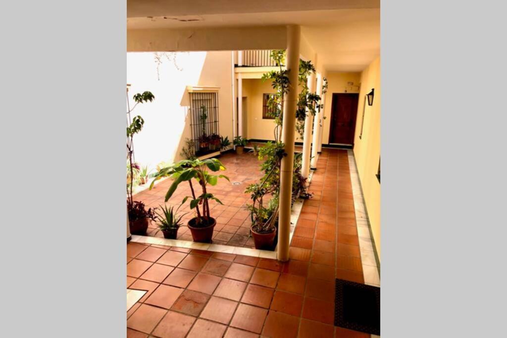 Gatu Villa Palma, Aire Acc Y Confort En El Centro Historico, " Preferente Mayores De 25 Anos Y Familias " El Puerto de Santa María Zewnętrze zdjęcie